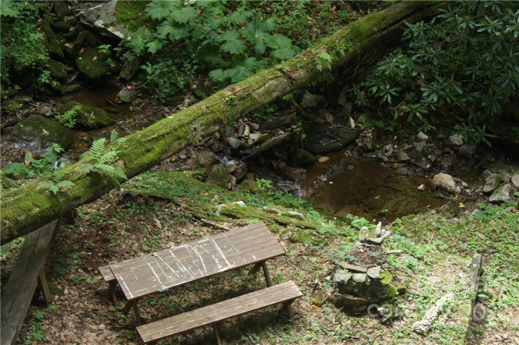 33 Fernbrook Road Maggie Valley, NC 28751 - Photo 24 of 36