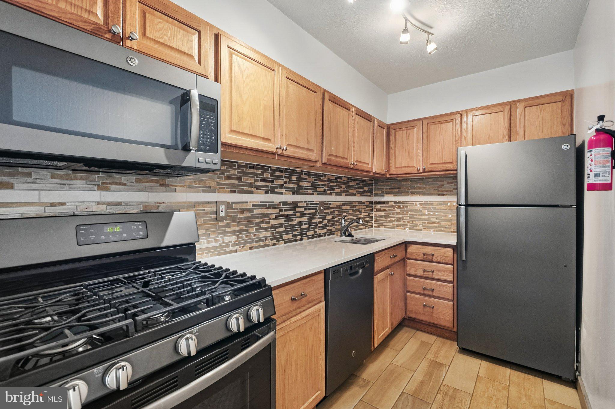 1245 4th Street Southwest, Unit 207 Washington, DC 20024 - Photo 2 of 13 Gallery Image 2