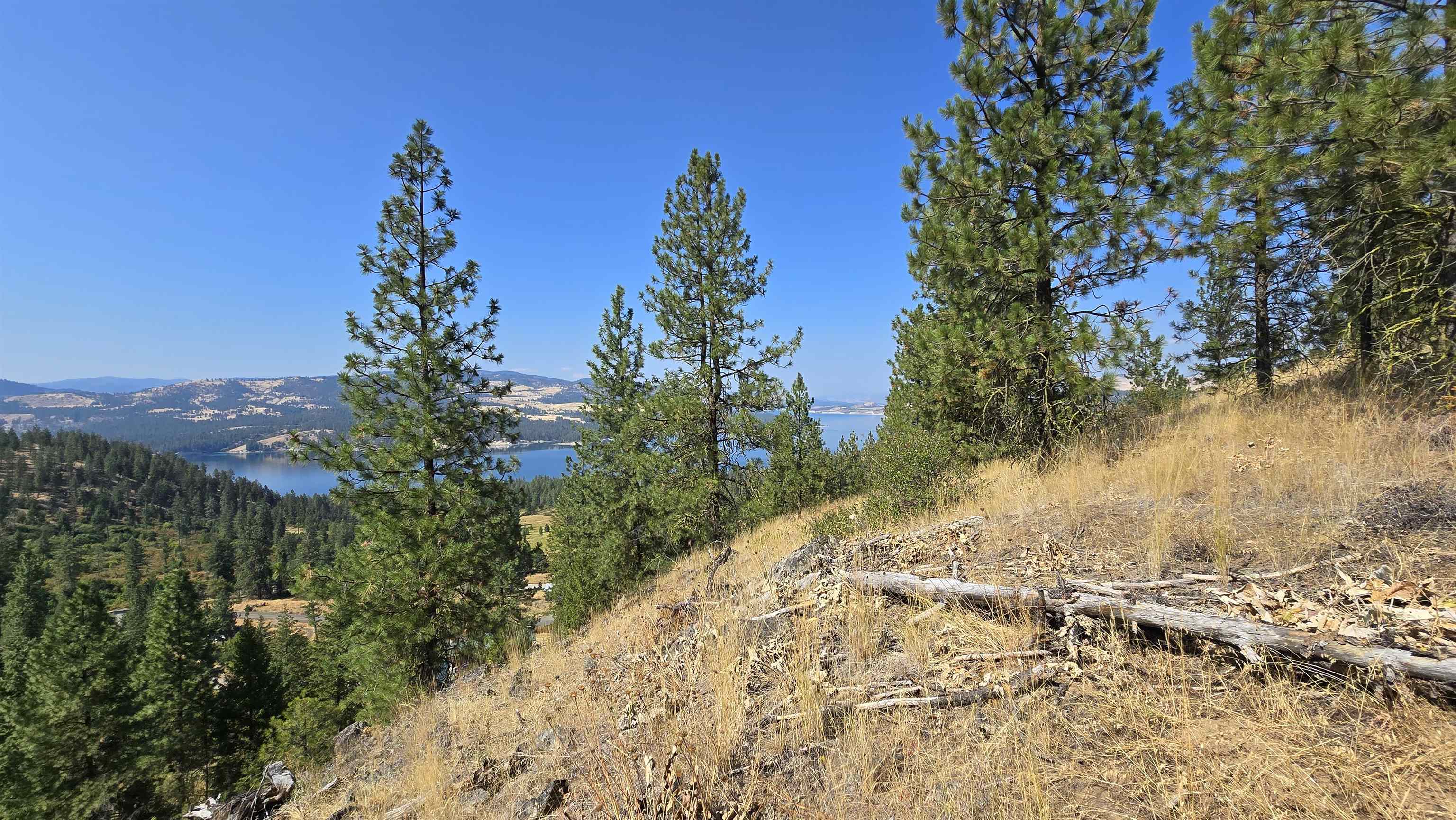 6237 Beach Tracks Way Fruitland, WA 99129 - Photo 11 of 23