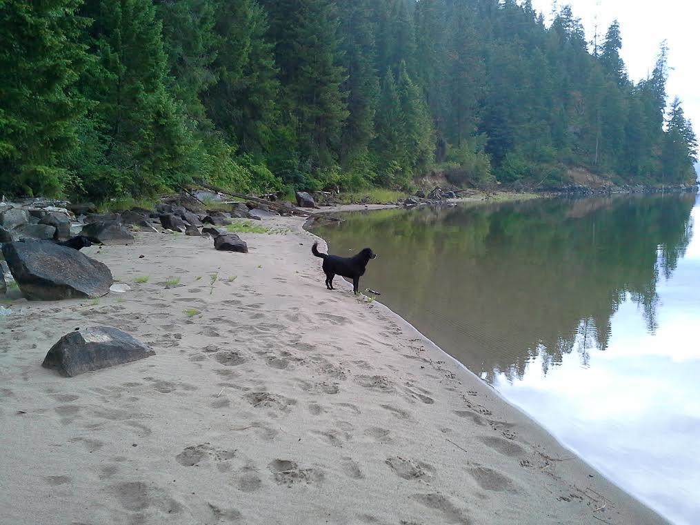 6237 Beach Tracks Way Fruitland, WA 99129 - Photo 20 of 23
