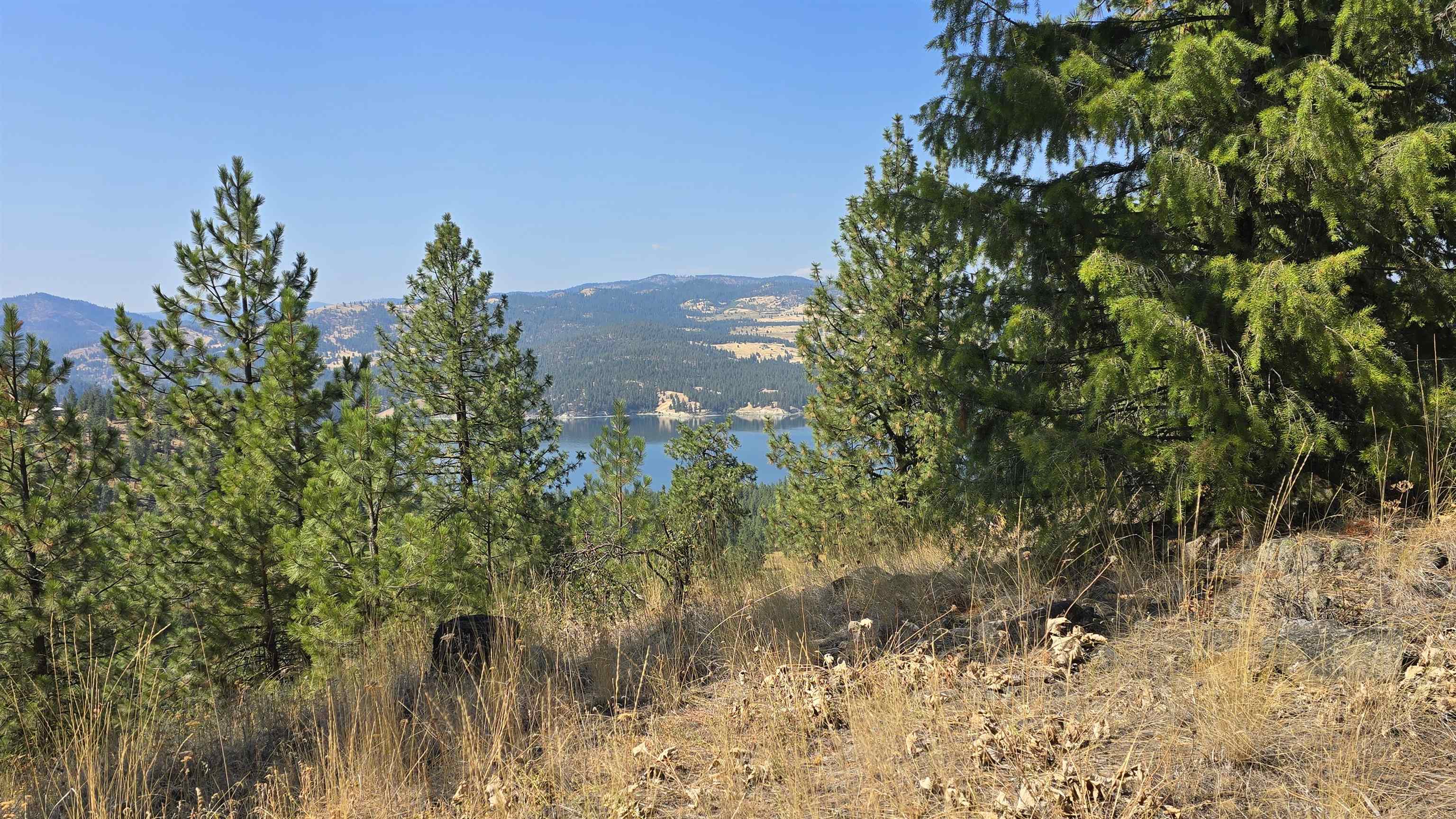 6237 Beach Tracks Way Fruitland, WA 99129 - Photo 9 of 23