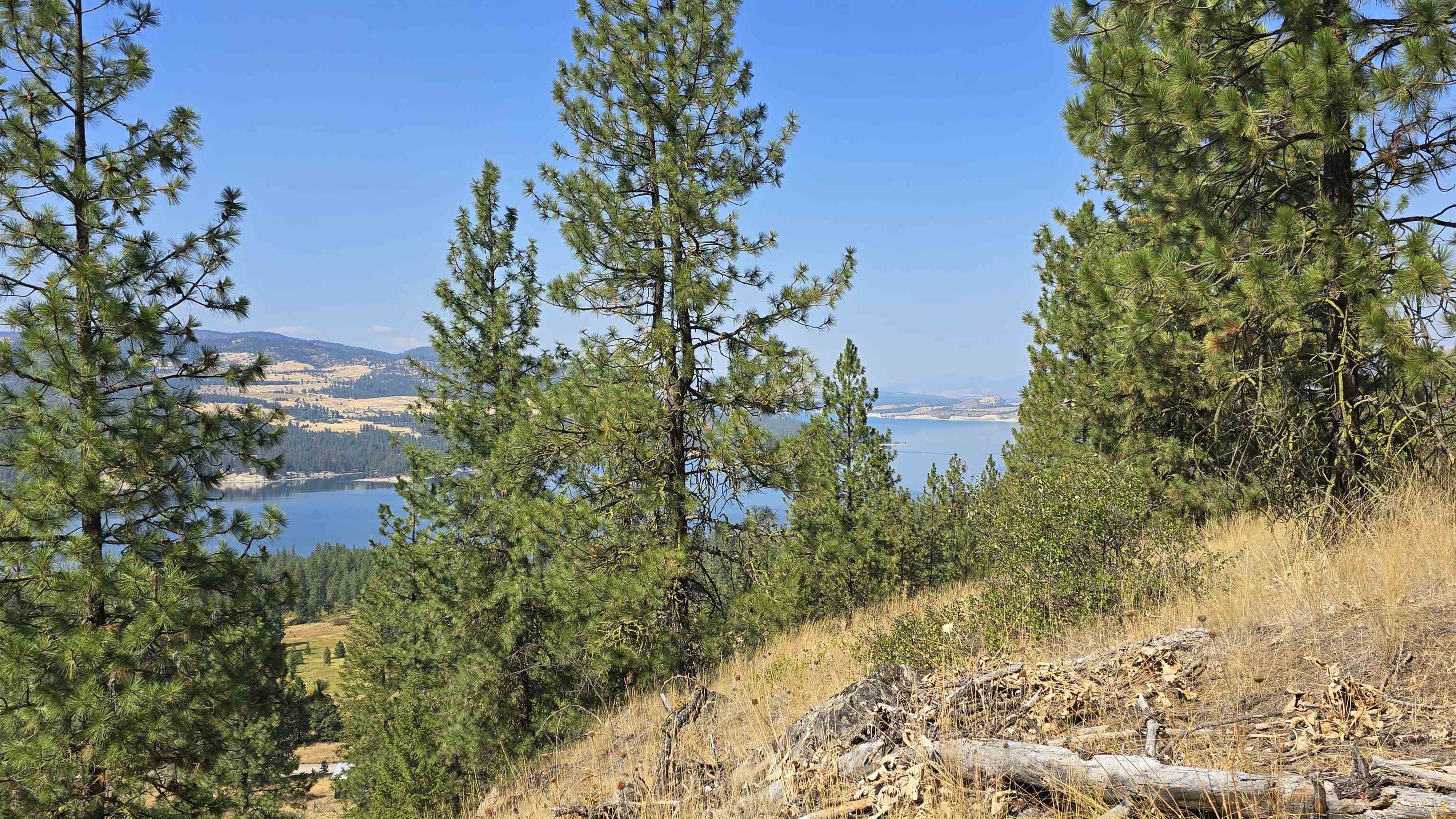 6237 Beach Tracks Way Fruitland, WA 99129 - Photo 10 of 23