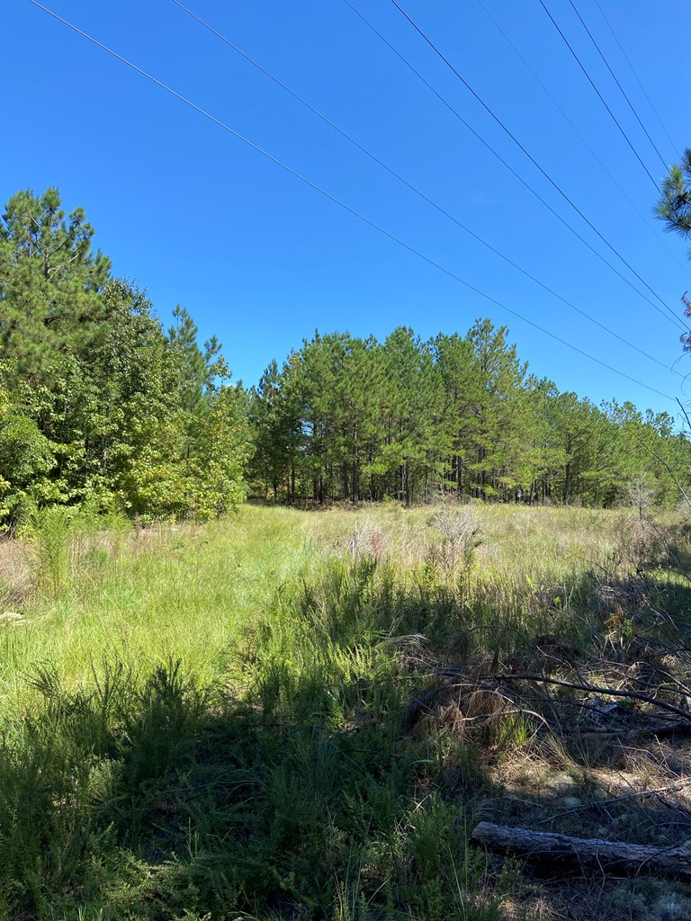 250 Belcher Road Hodges, SC 29653 - Photo 2 of 9