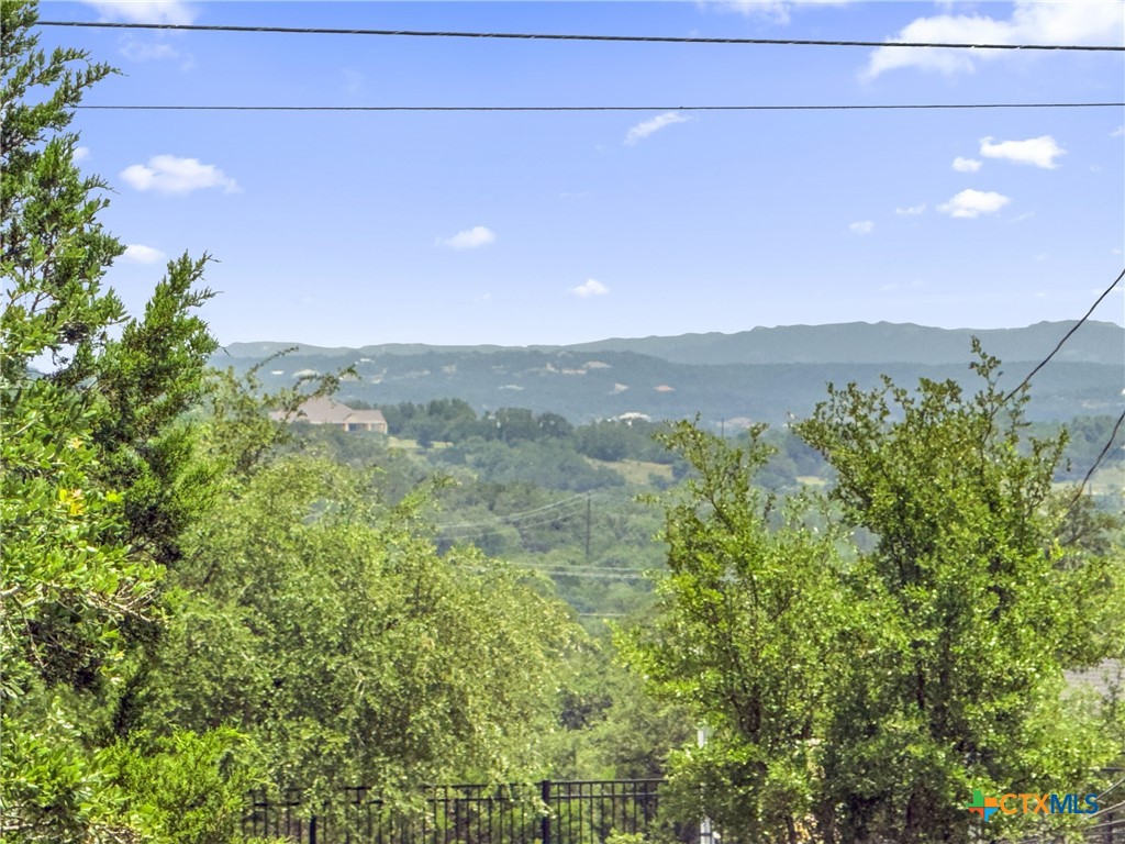 141 Vista View Place Spring Branch, TX 78070 - Photo 4 of 32