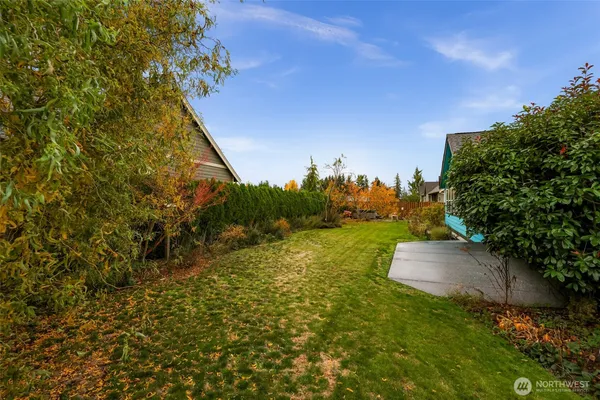a view of a yard with an tree and a bench