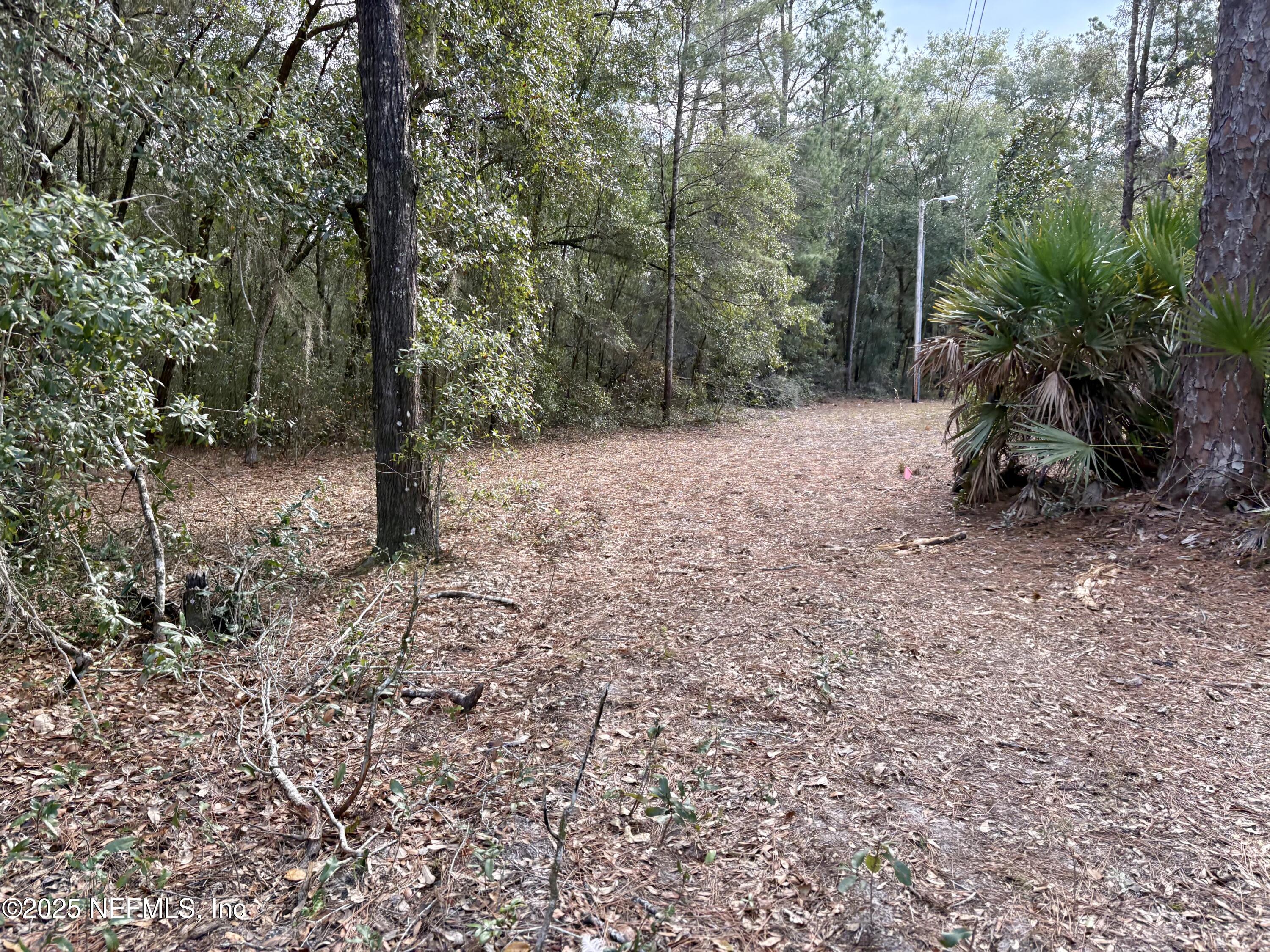 4581 Comet Avenue Keystone Heights, FL 32656 - Photo 1 of 3 Comet 2