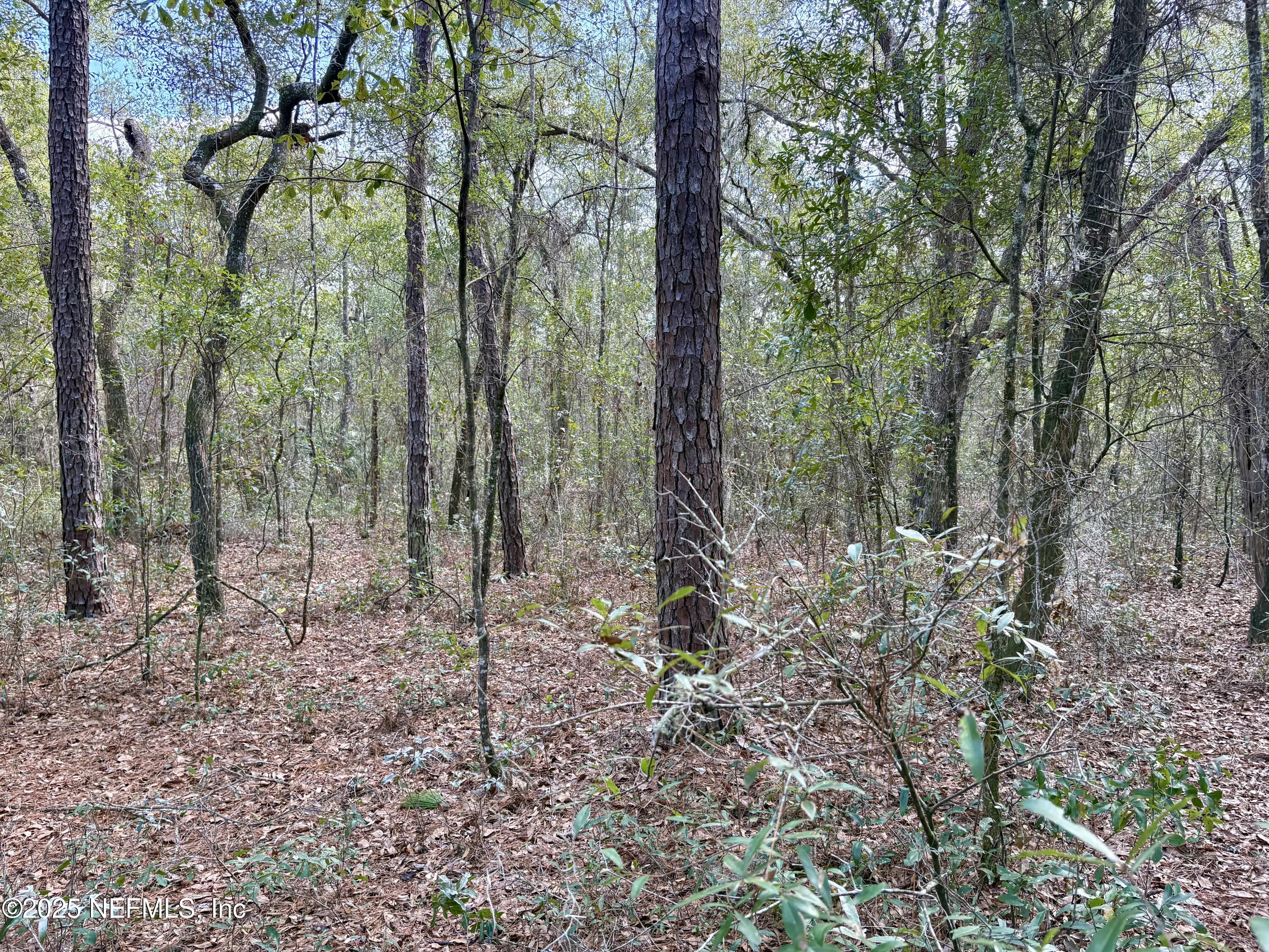 4581 Comet Avenue Keystone Heights, FL 32656 - Photo 3 of 3 Comet 3