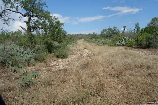 a view of a field with trees in the background