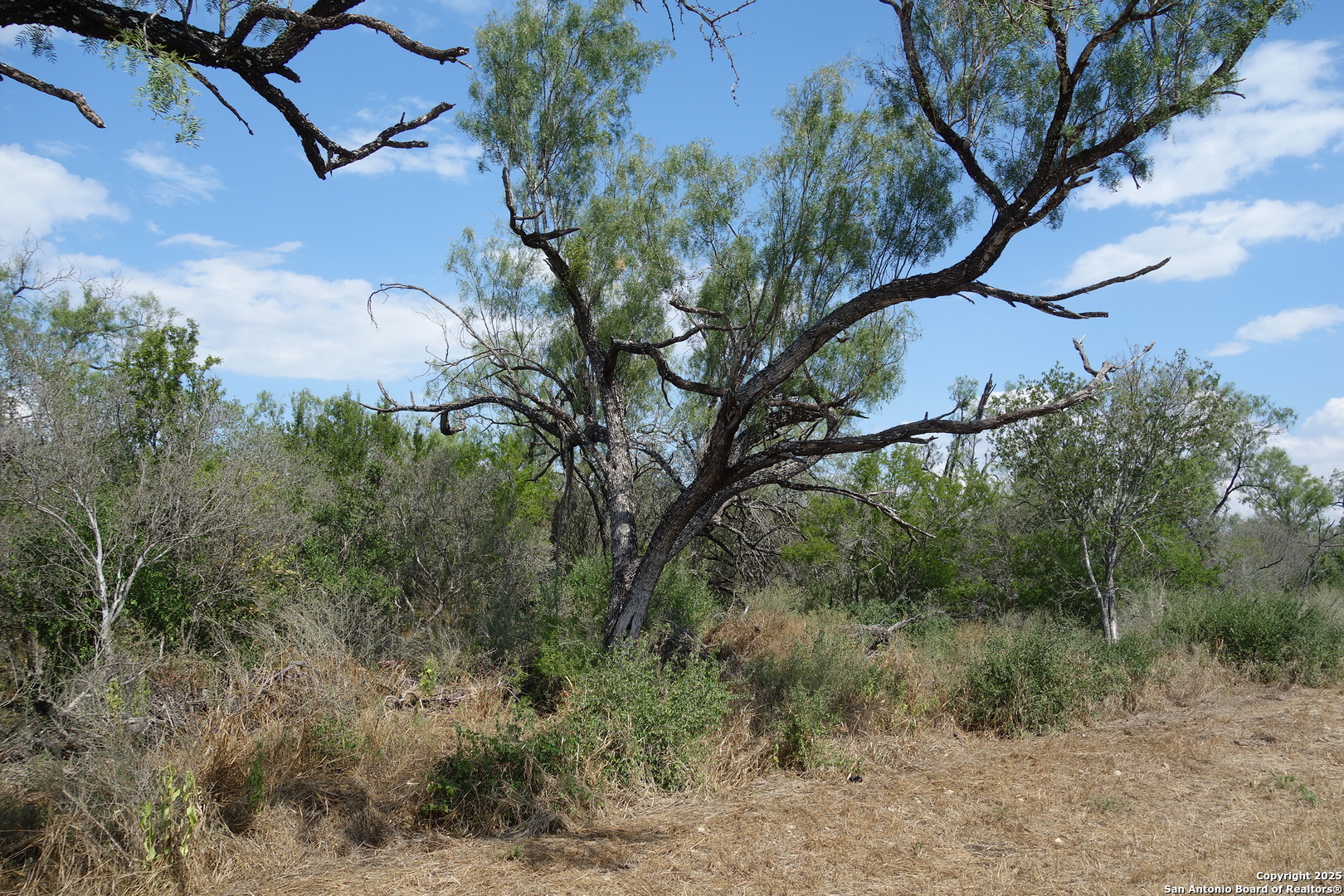 Tbd 1343rd Castroville, TX 78009 - Photo 5 of 6 a backyard of a house with lots of green space