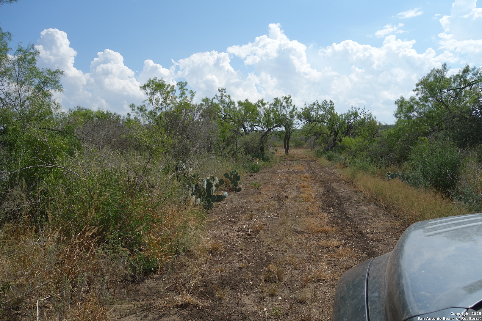 Tbd 1343rd Castroville, TX 78009 - Photo 6 of 6 a view of a dry yard with trees