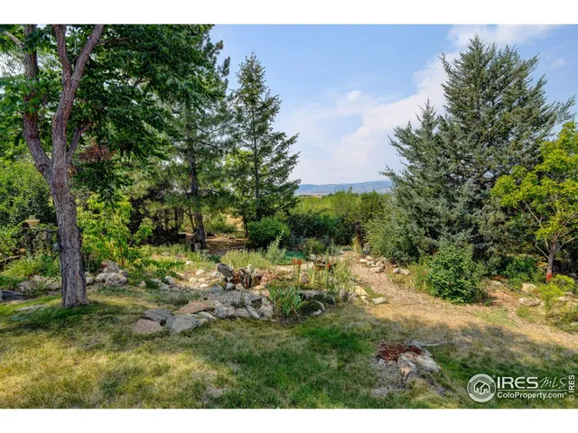 a view of a yard with plants and a bench
