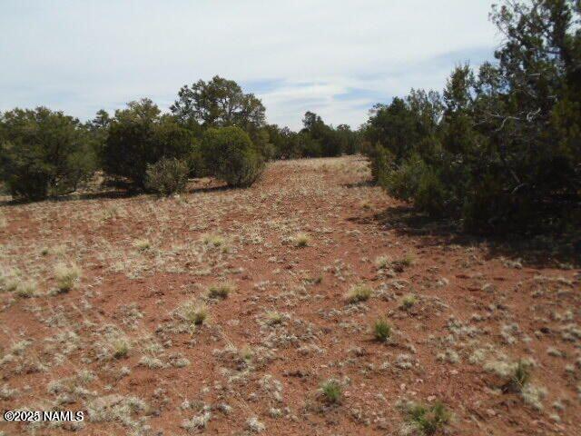 4089 East Oakdale Road Williams, AZ 86046 - Photo 3 of 11 a view of a dry yard with trees in the background