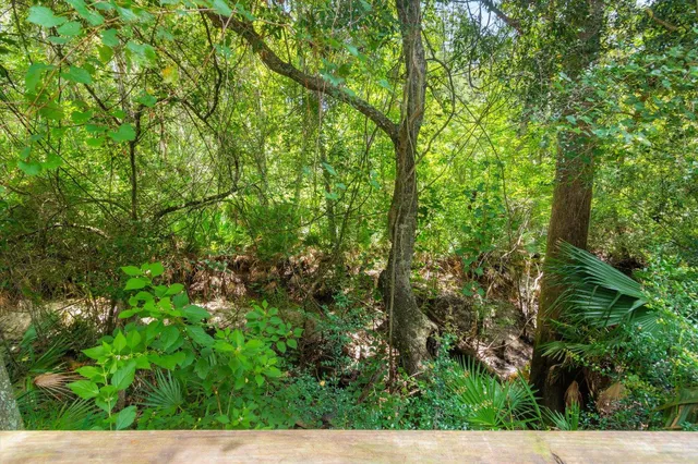 a view of a lush green forest