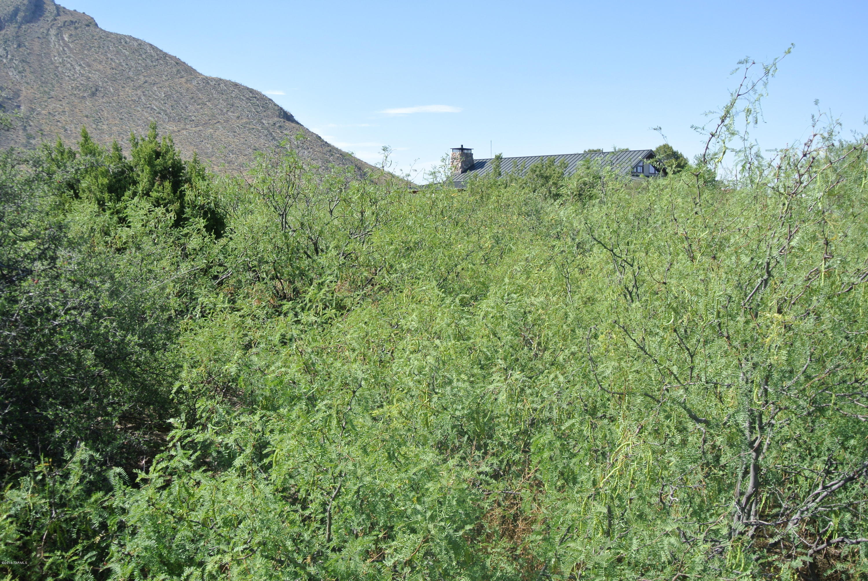 0 South Cathedral Rock Road San Simon, AZ 85632 - Photo 7 of 15