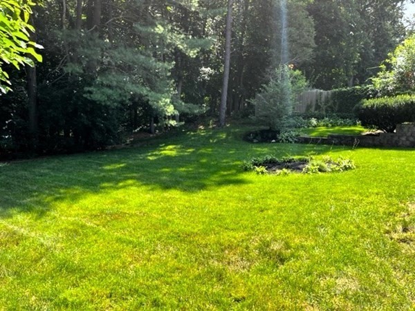 35 Mission Road North Chelmsford, MA 01863 - Photo 36 of 36 Gallery Image 36