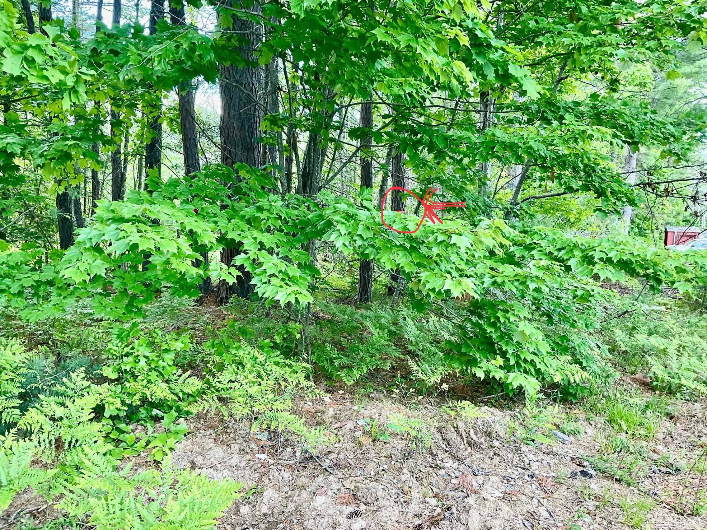 57 Eastern Avenue Conway, NH 03813 - Photo 7 of 12