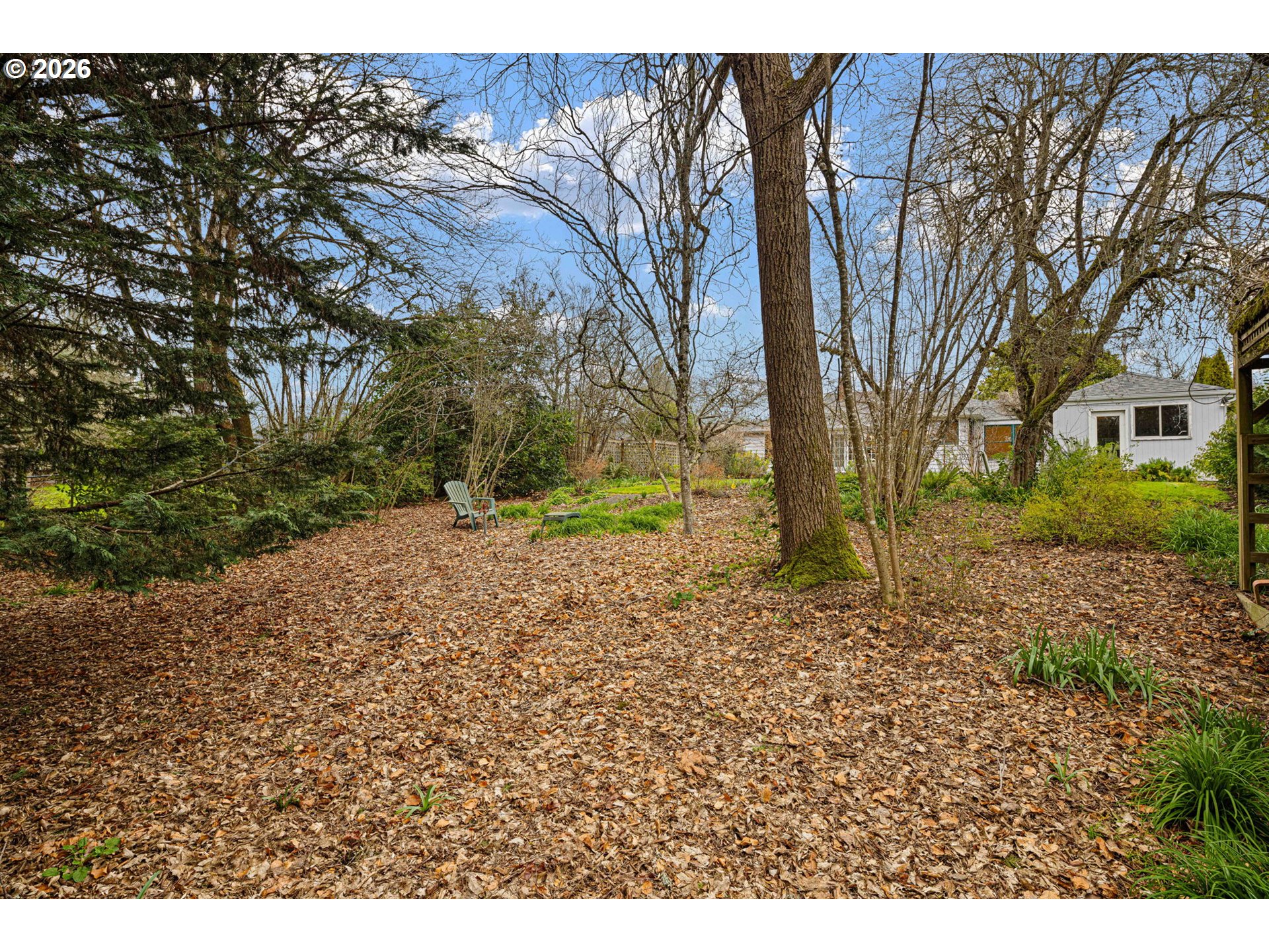 940 East 23rd Avenue Eugene, OR 97405 - Photo 13 of 48 a backyard of a house with large trees