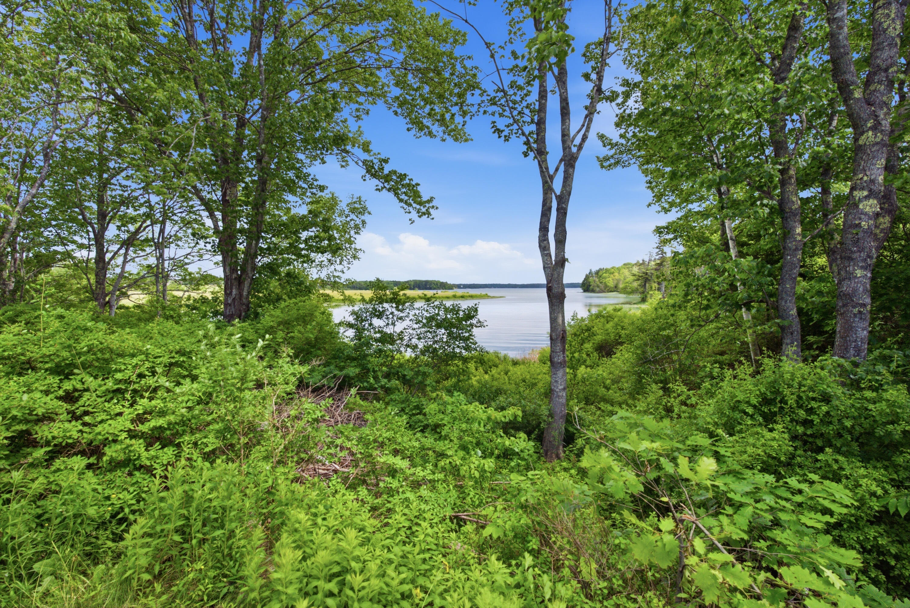 18 Pleasant Point Road Cushing, ME 04563 - Photo 47 of 149