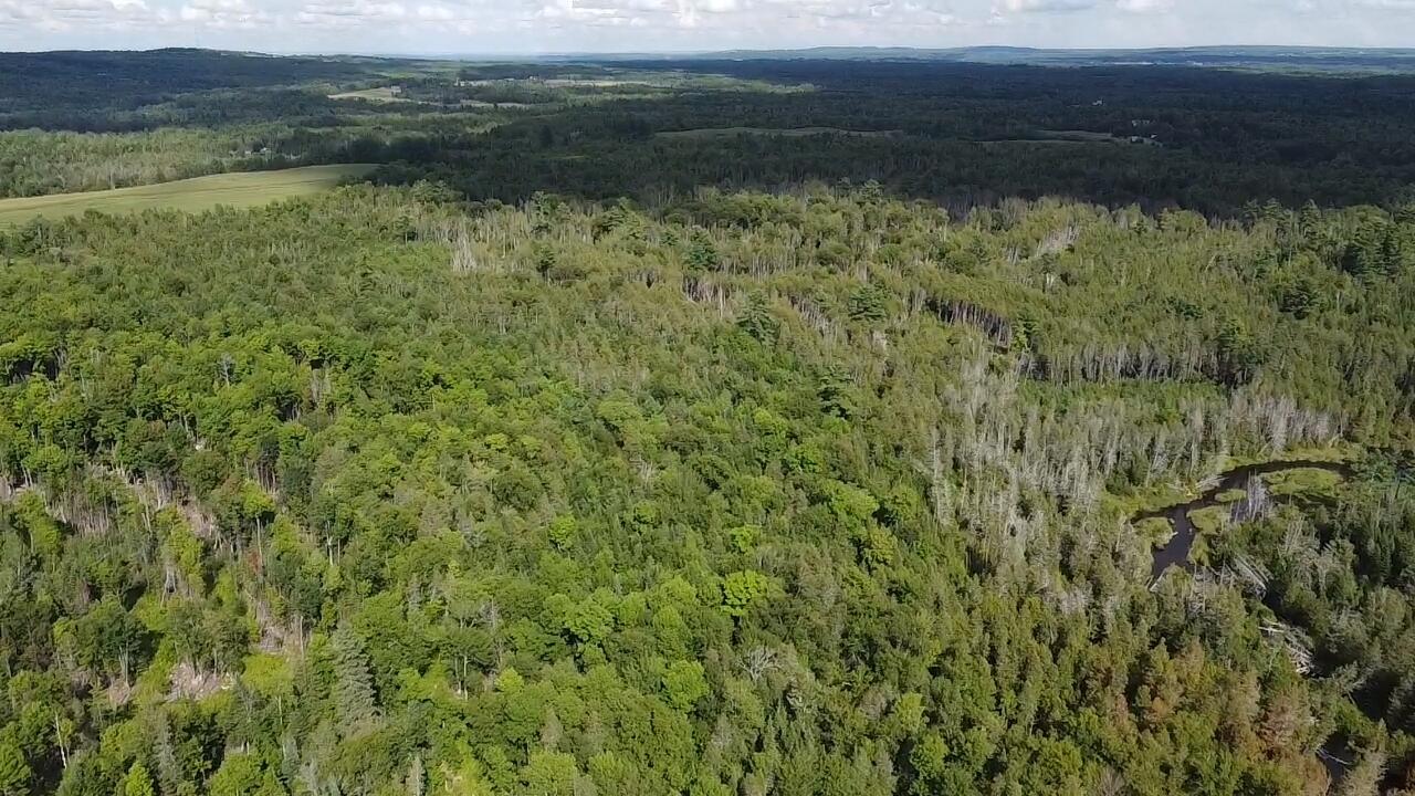 1671 County Road New Limerick, ME 04761 - Photo 15 of 56 dji_export_1660586970417