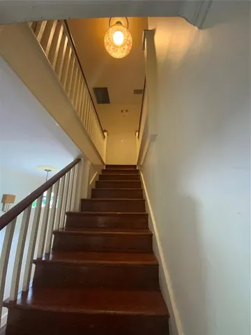 a view of a yard with plants and trees