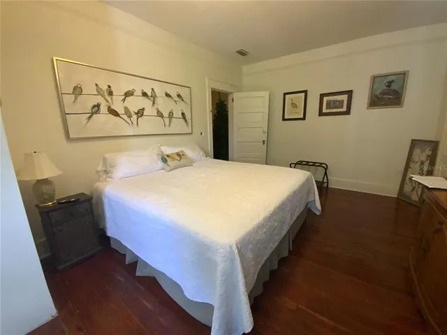 a view of a yard with plants and trees