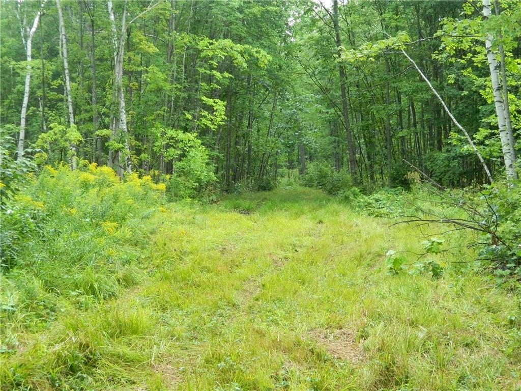 0 Mountain Road Parsonsfield, ME 04047 - Photo 16 of 22 Photo