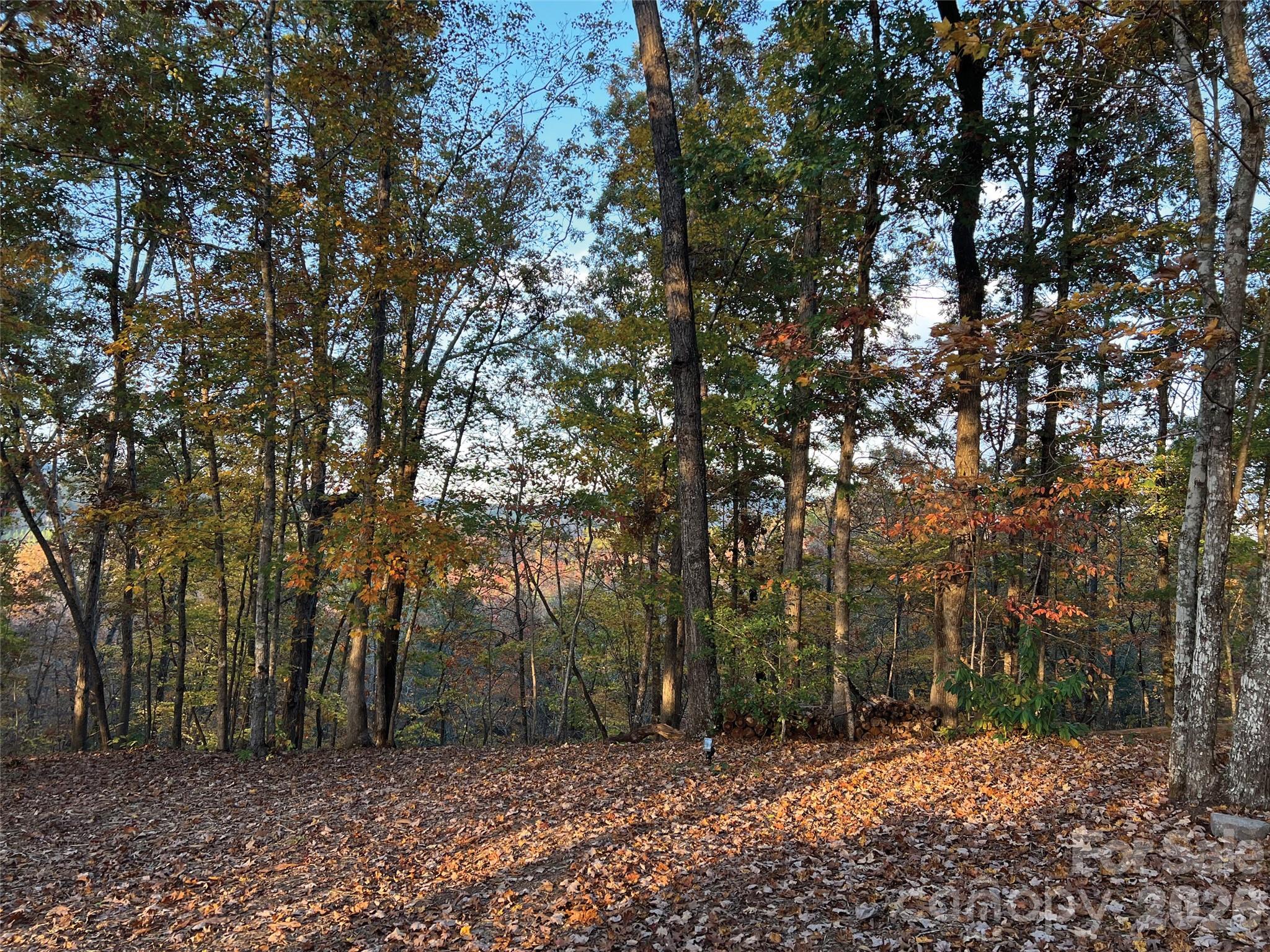 0 Shady Bark Lane, Unit 43 & #44 Rutherfordton, NC 28139 - Photo 8 of 38