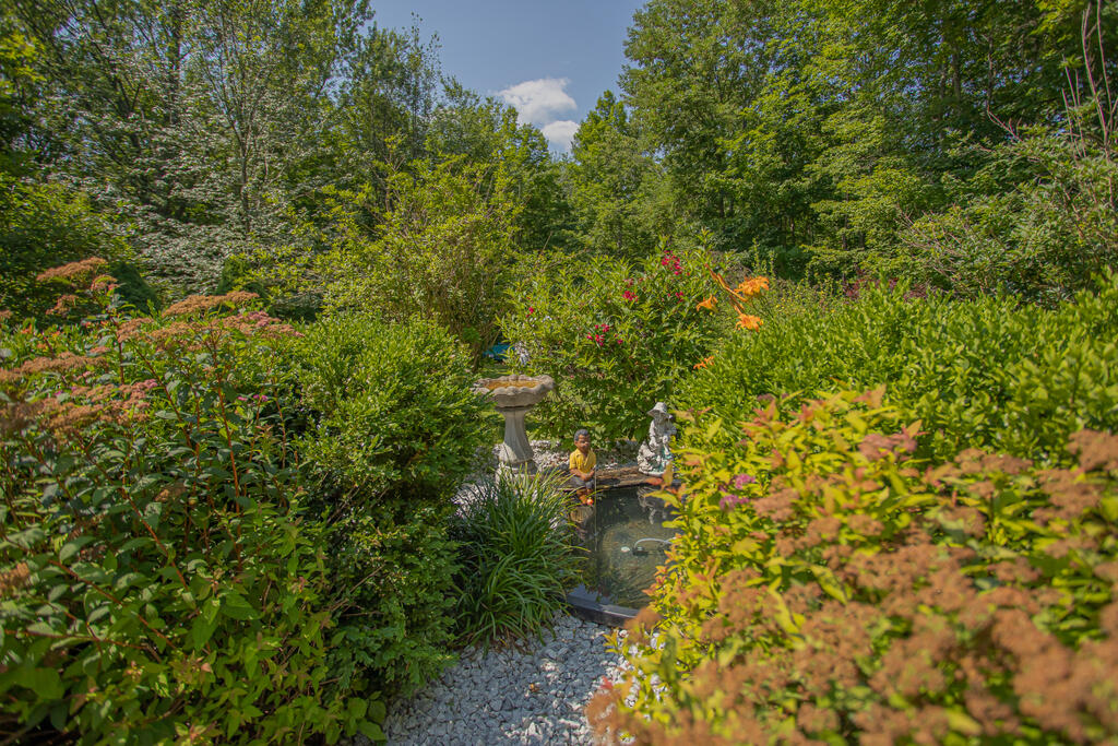 824 Fairbanks Road Farmington, ME 04938 - Photo 49 of 79 Yard