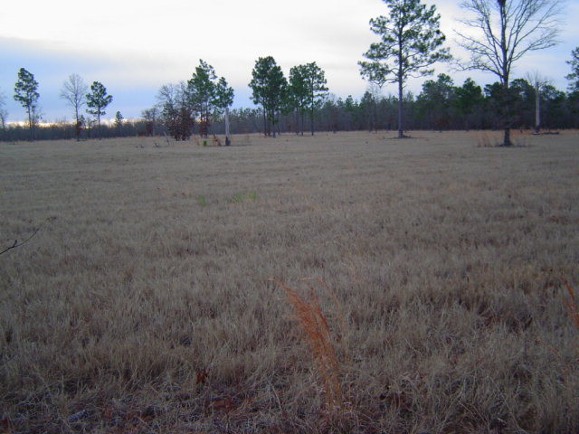 Lot 4 Oak Ridge Club Road Aiken, SC 29801 - Photo 1 of 1