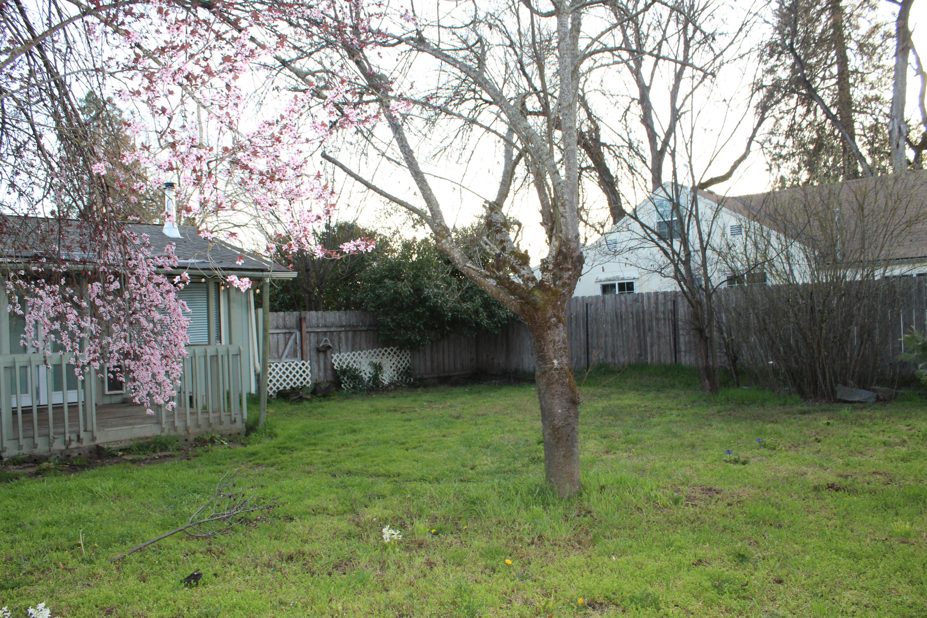 2516 Leonard Road Grants Pass, OR 97527 - Photo 19 of 23 IMG_1503