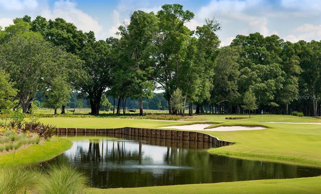 5339 Northwest 46th Ln Road Ocala, FL 34482 - Photo 70 of 79 a view of a swimming pool with an outdoor space and seating area