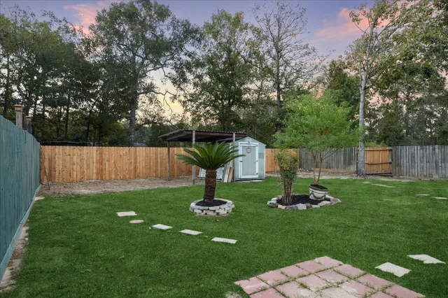a view of a backyard with a tree