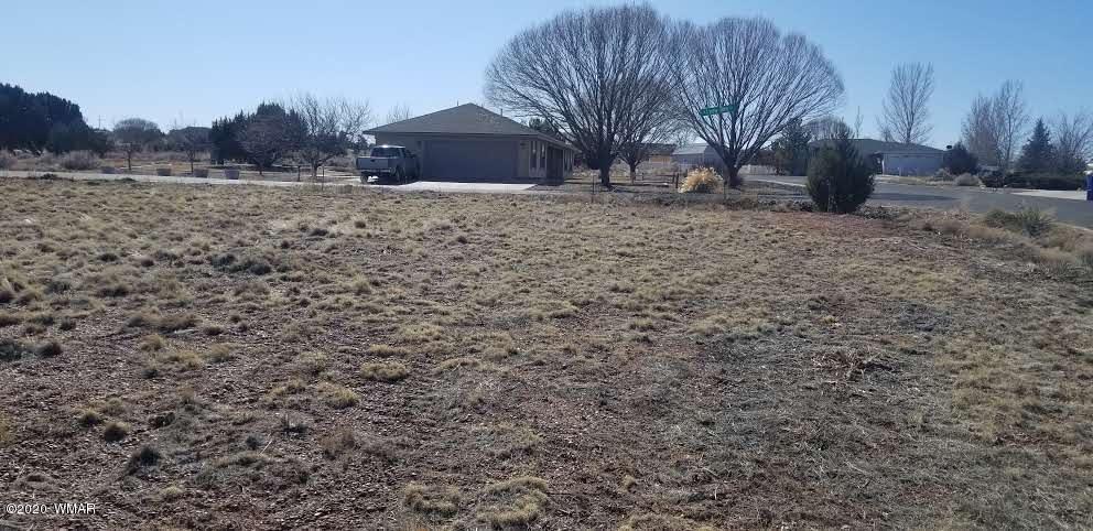 Tbd North Lyon Gate Drive Snowflake, AZ 85937 - Photo 1 of 29 a big house with lots of trees in the background