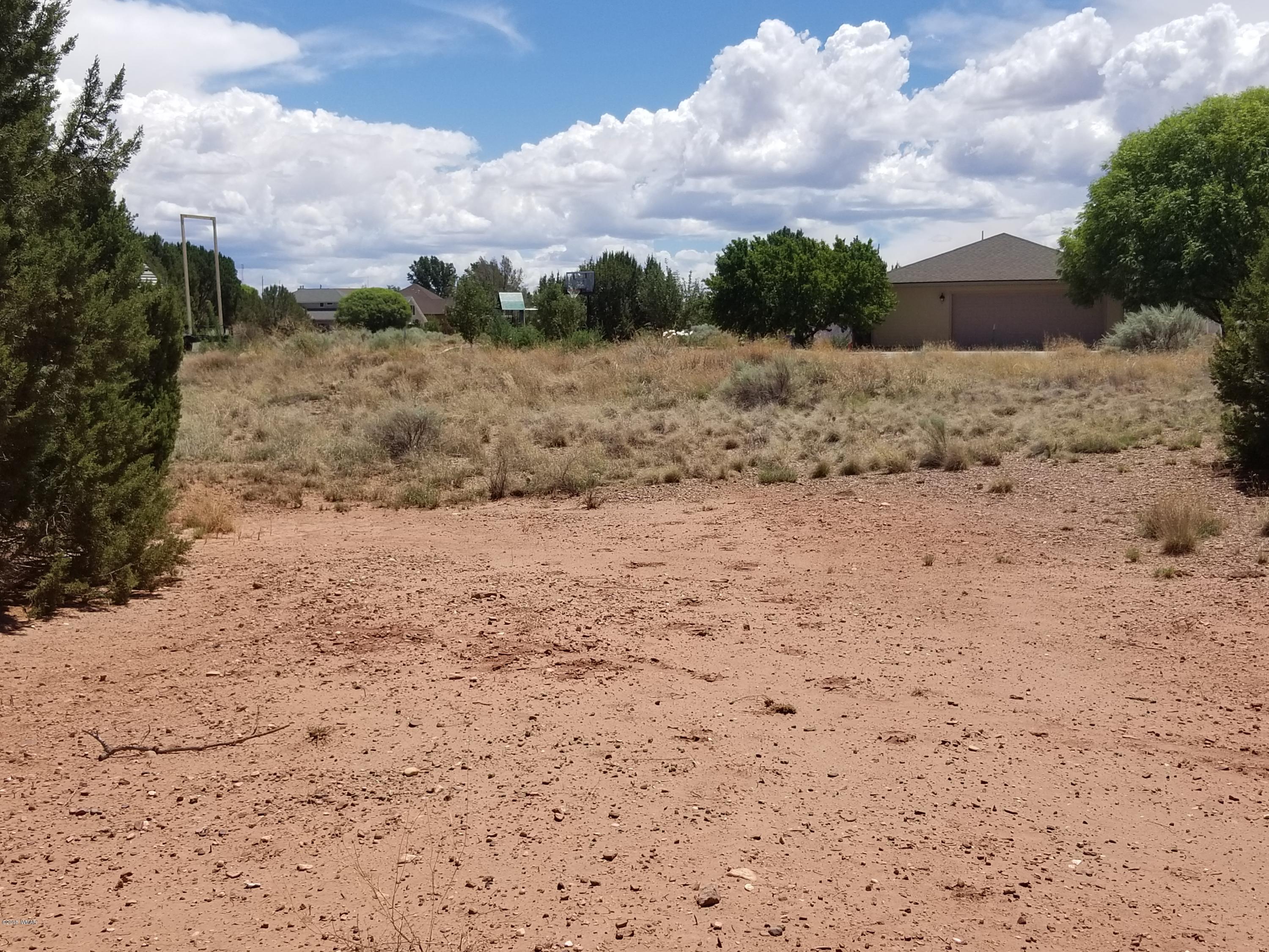 Tbd North Lyon Gate Drive Snowflake, AZ 85937 - Photo 15 of 29 a view of a dry yard