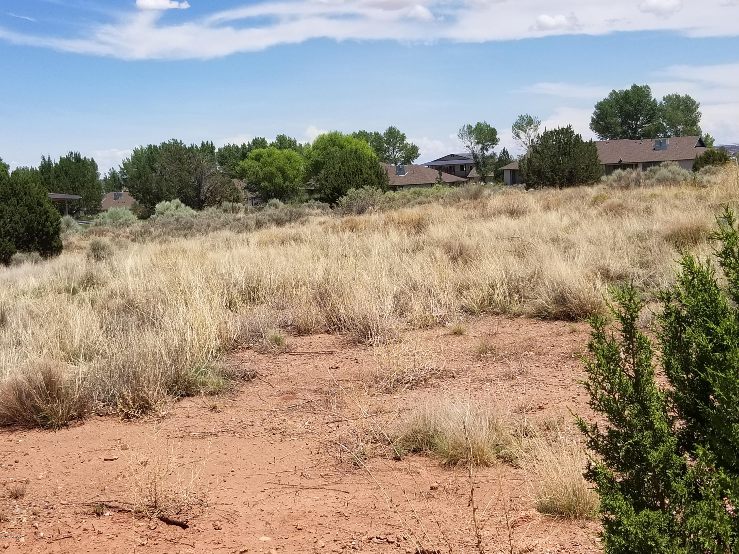 Tbd North Lyon Gate Drive Snowflake, AZ 85937 - Photo 16 of 29 a view of a dry yard with wooden fence