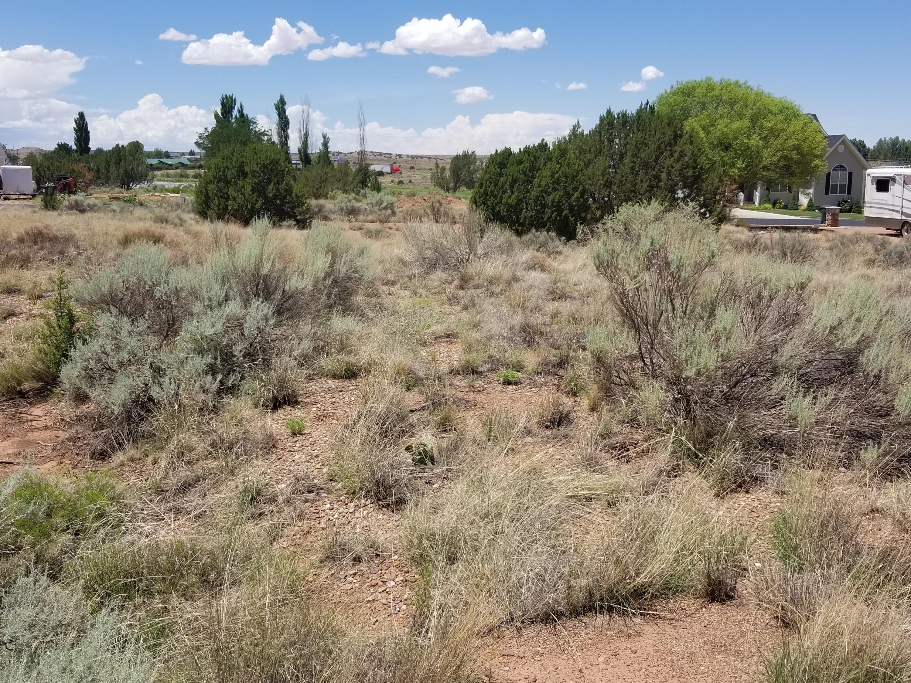 Tbd North Lyon Gate Drive Snowflake, AZ 85937 - Photo 18 of 29 a view of a dry yard with trees