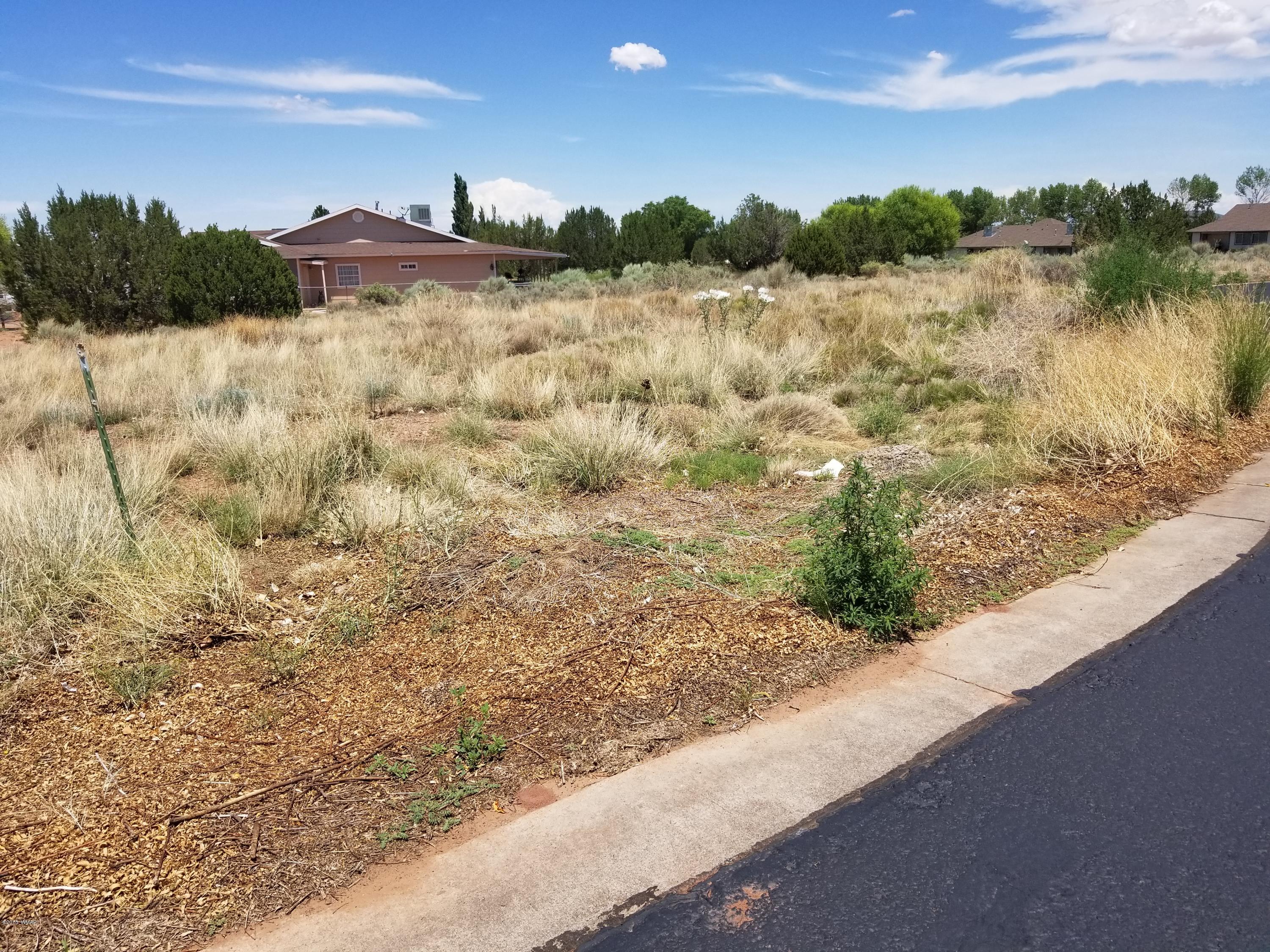 Tbd North Lyon Gate Drive Snowflake, AZ 85937 - Photo 19 of 29