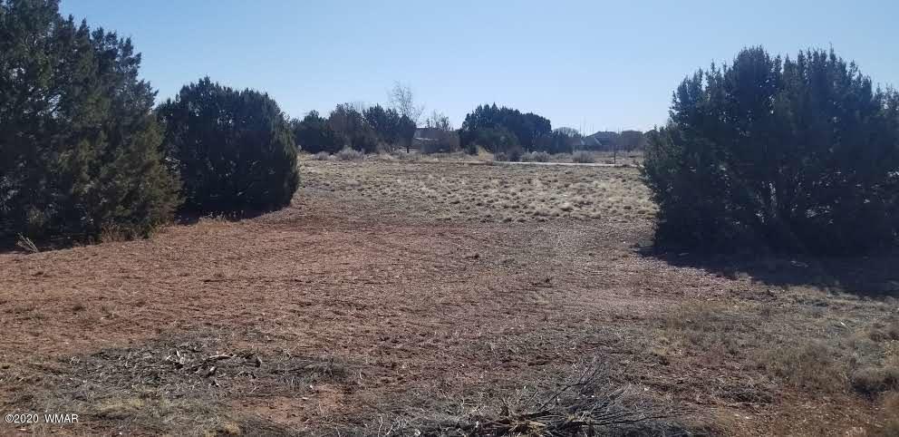 Tbd North Lyon Gate Drive Snowflake, AZ 85937 - Photo 2 of 29 a view of a dry yard with trees in the background