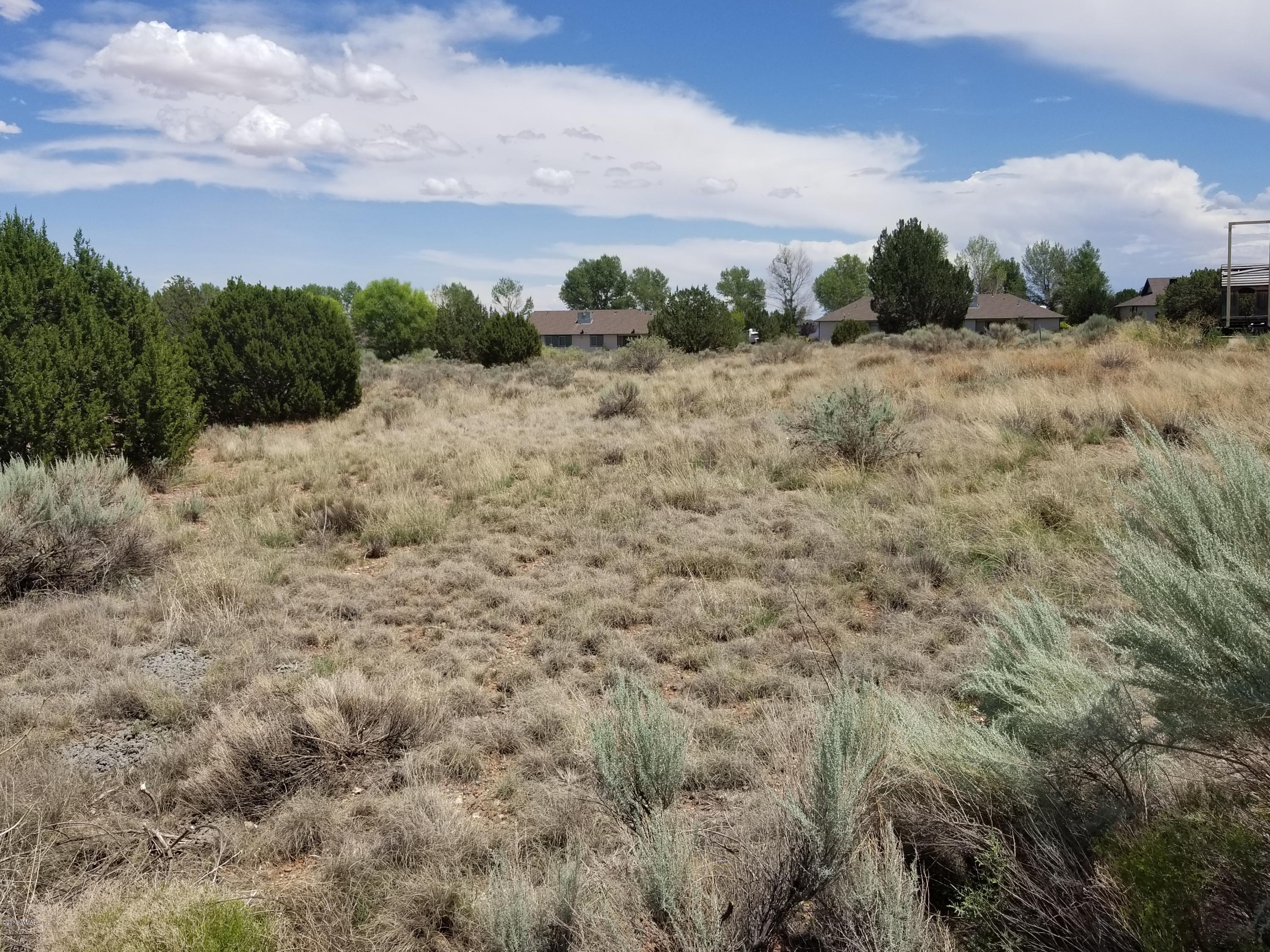 Tbd North Lyon Gate Drive Snowflake, AZ 85937 - Photo 21 of 29 a view of a dry yard