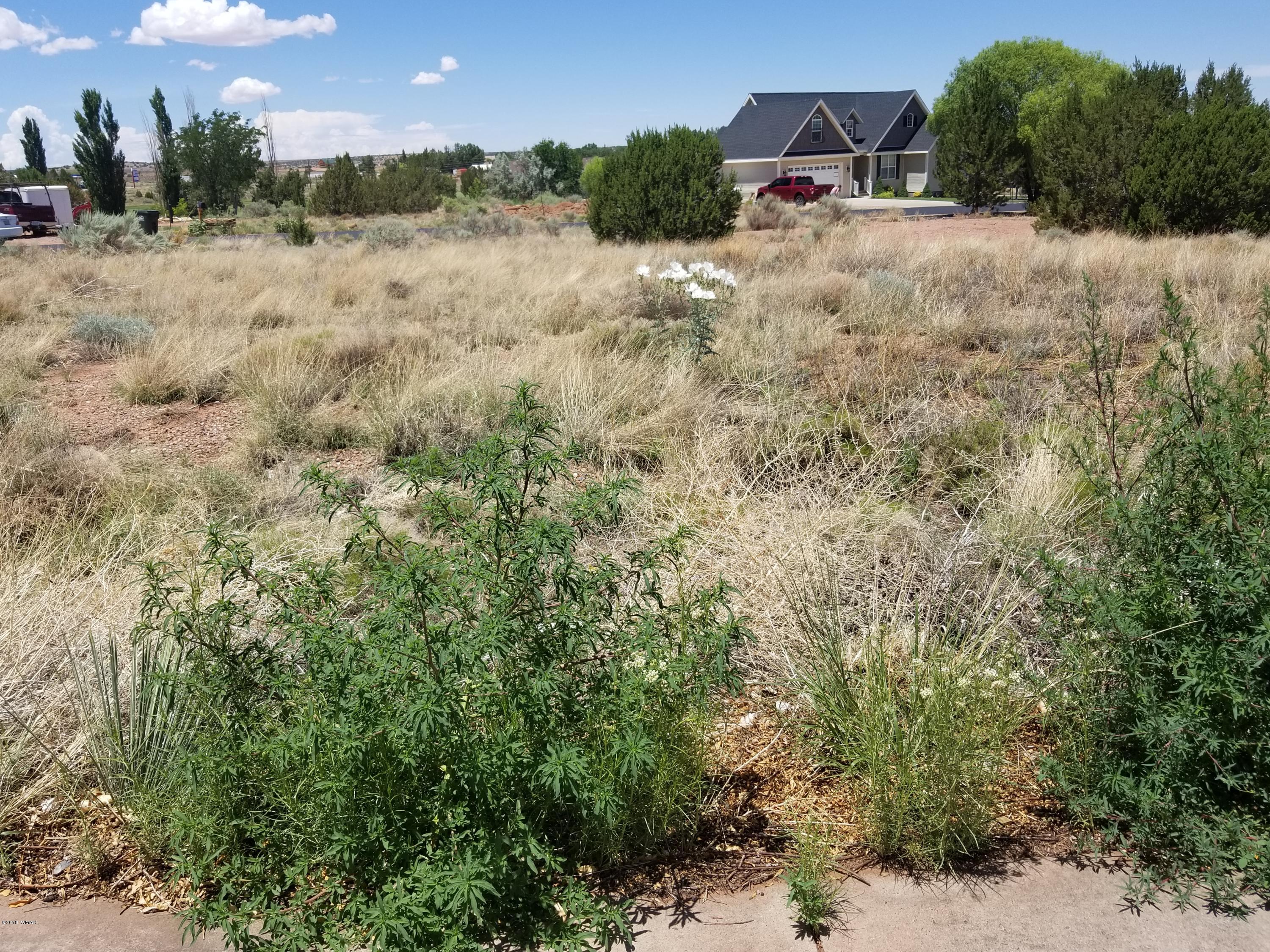 Tbd North Lyon Gate Drive Snowflake, AZ 85937 - Photo 22 of 29 a view of a dry yard with green space