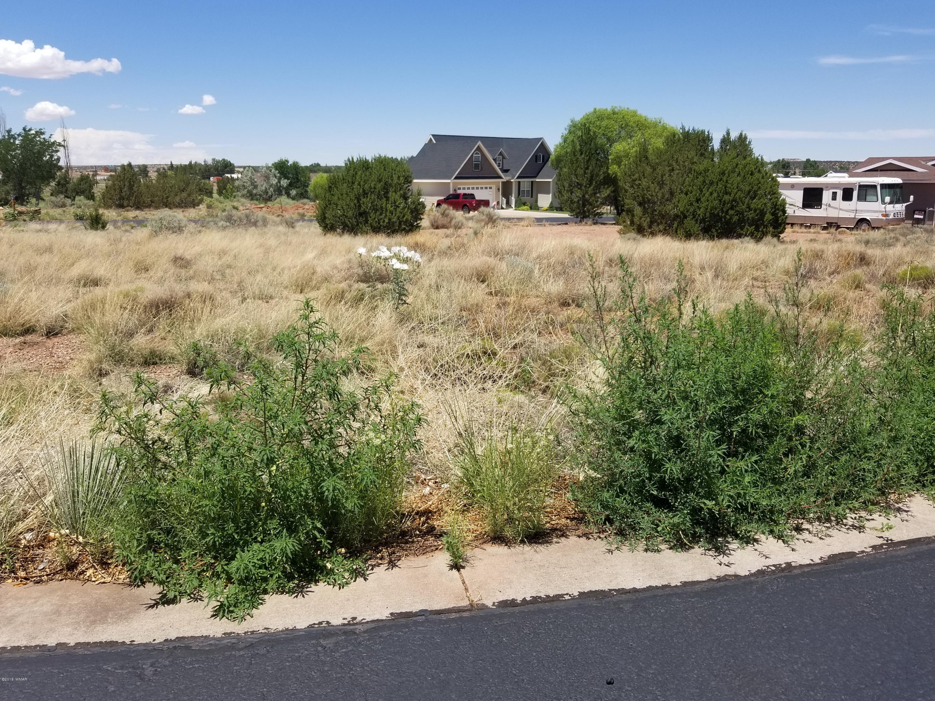 Tbd North Lyon Gate Drive Snowflake, AZ 85937 - Photo 23 of 29 a view of outdoor space and yard