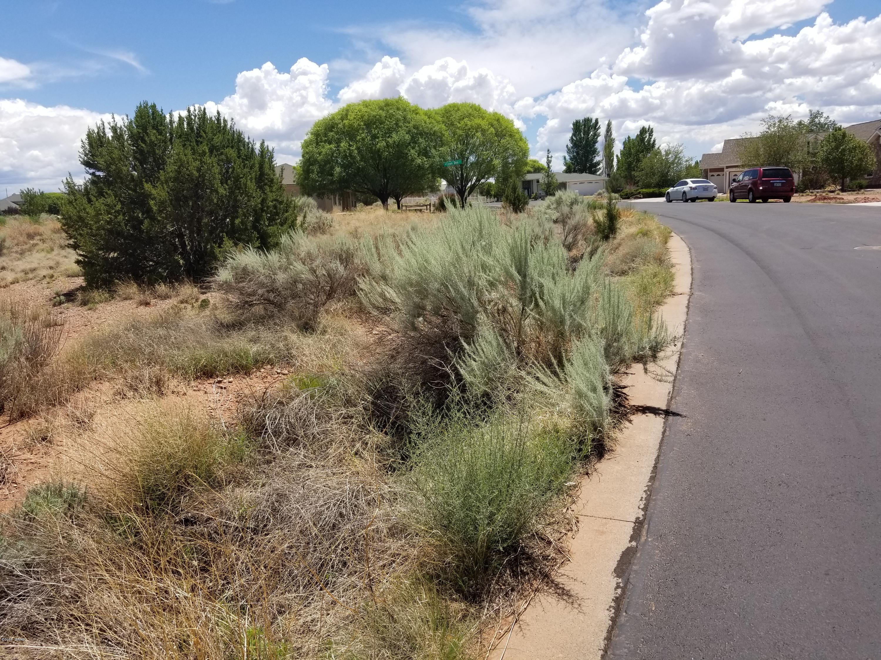 Tbd North Lyon Gate Drive Snowflake, AZ 85937 - Photo 24 of 29 a view of a street with a yard