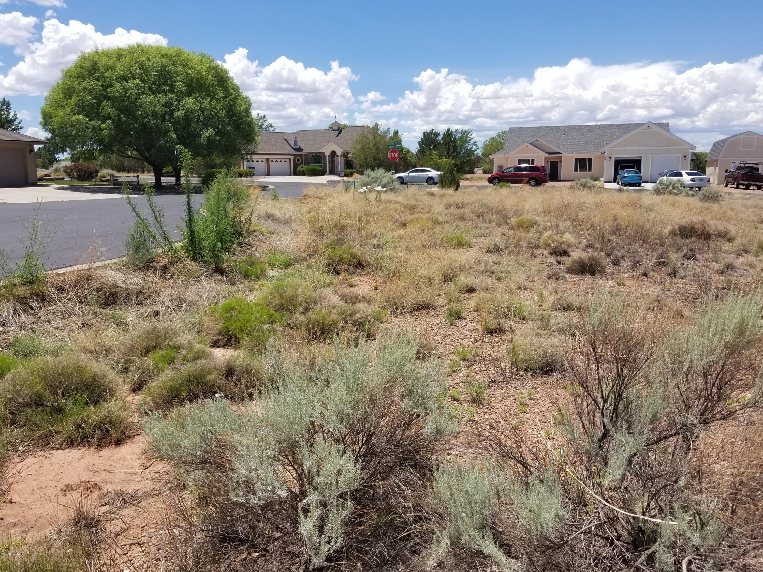 Tbd North Lyon Gate Drive Snowflake, AZ 85937 - Photo 26 of 29 a view of a dry yard with large trees