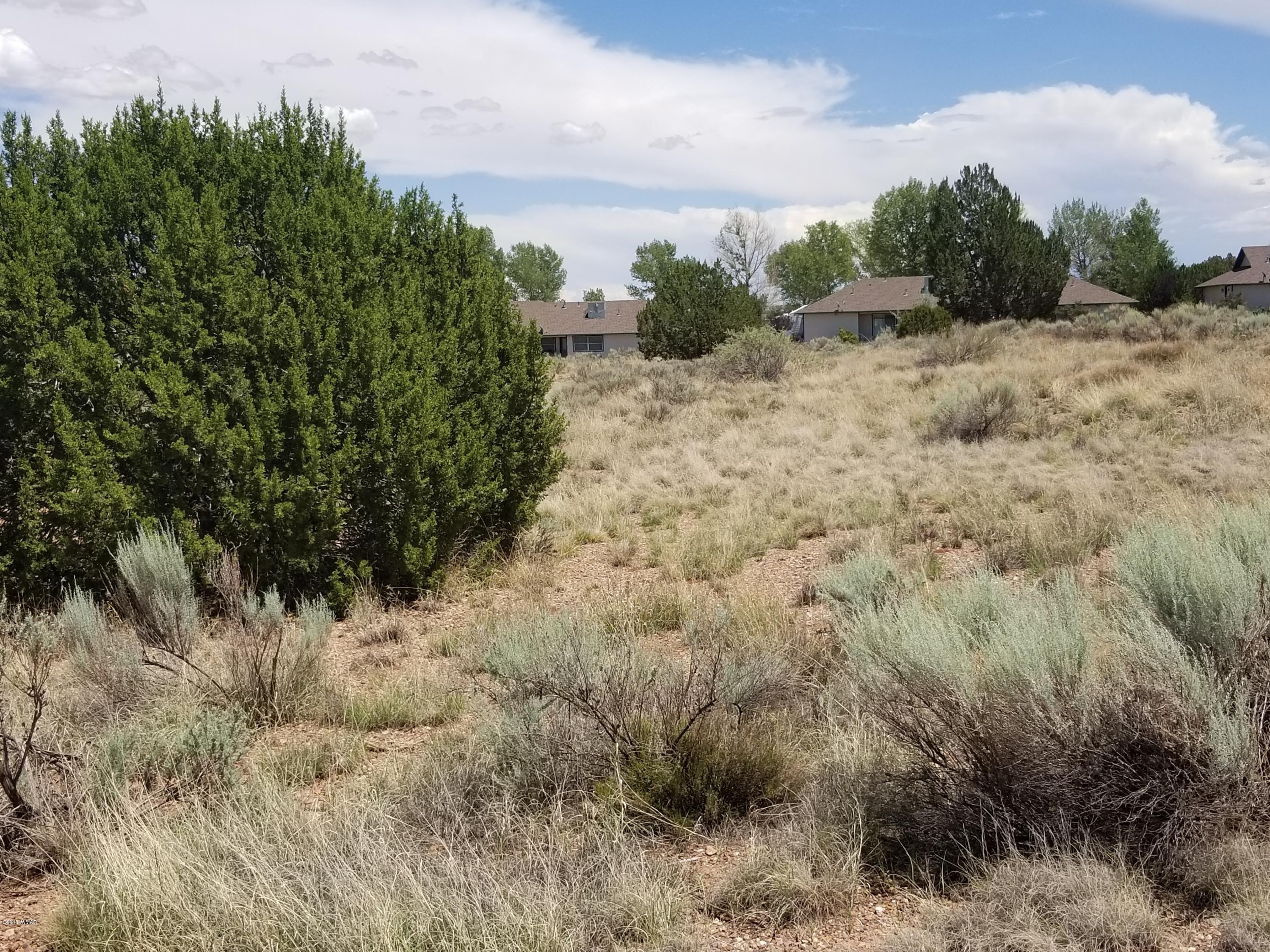Tbd North Lyon Gate Drive Snowflake, AZ 85937 - Photo 27 of 29 a view of a dry yard