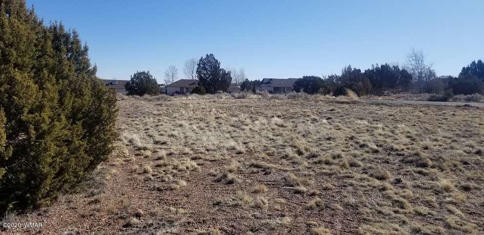 Tbd North Lyon Gate Drive Snowflake, AZ 85937 - Photo 4 of 29 a view of a field