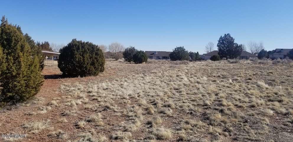 Tbd North Lyon Gate Drive Snowflake, AZ 85937 - Photo 8 of 29