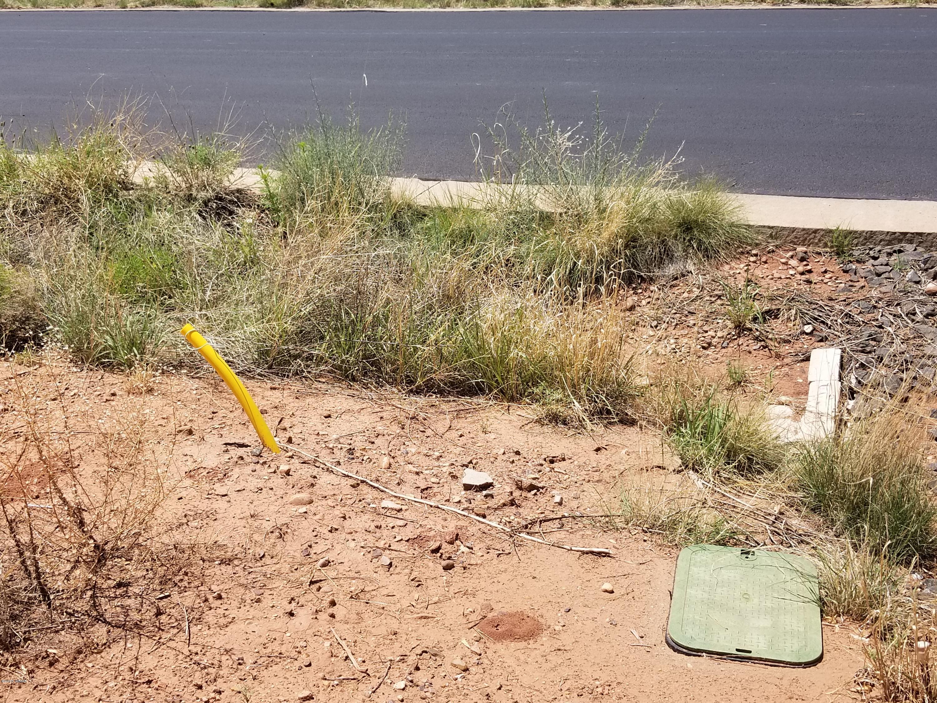 Tbd North Lyon Gate Drive Snowflake, AZ 85937 - Photo 9 of 29 a view of a yard