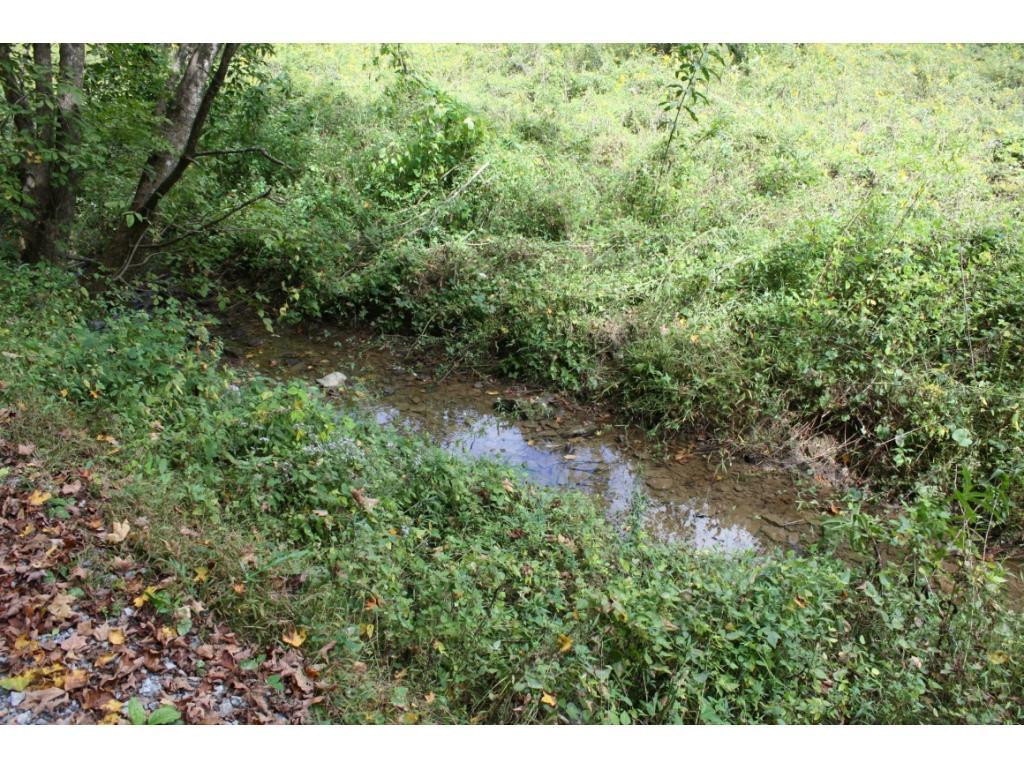 Tbd Lone Star Road, Unit 7 Mendota, VA 24270 - Photo 2 of 9 Photo 2