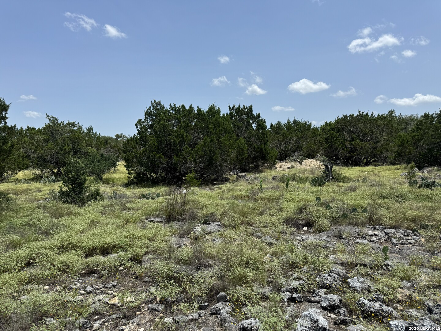232 High Point Circle Spring Branch, TX 78070 - Photo 4 of 14