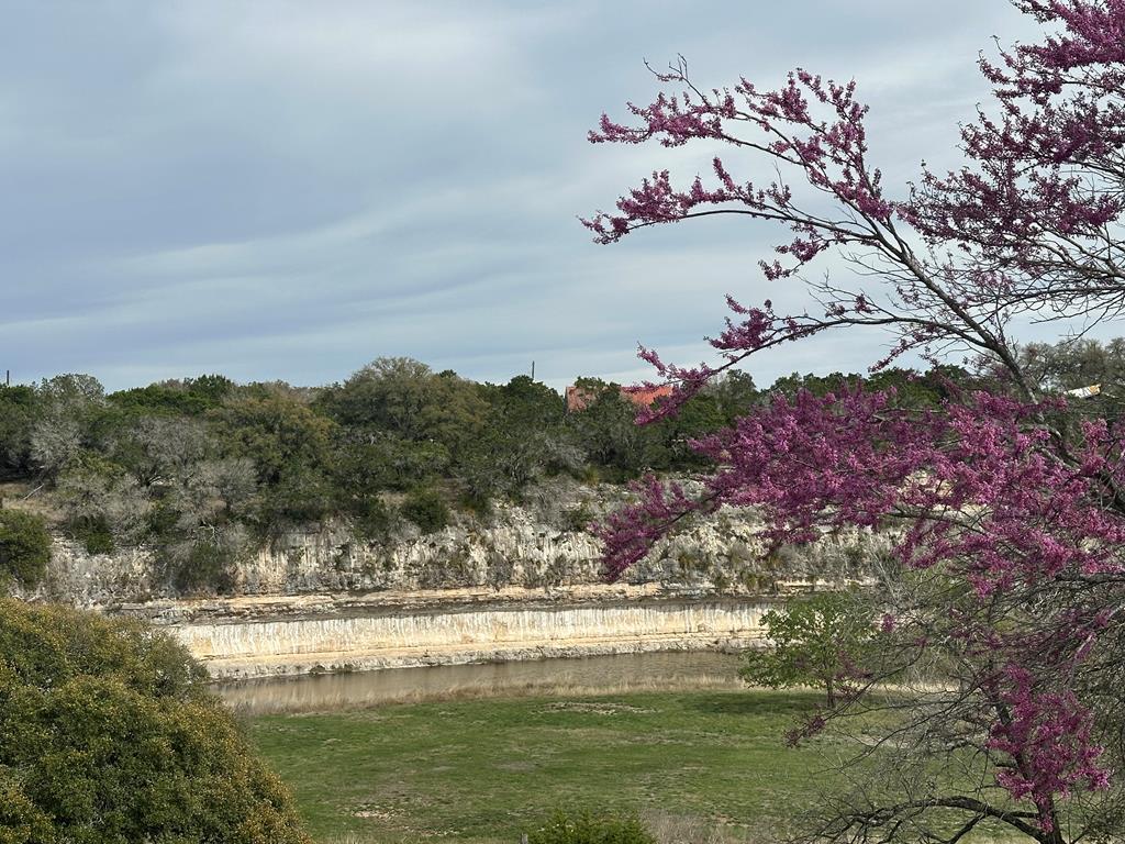 185 Cougar Park Road Hunt, TX 78024 - Photo 19 of 53